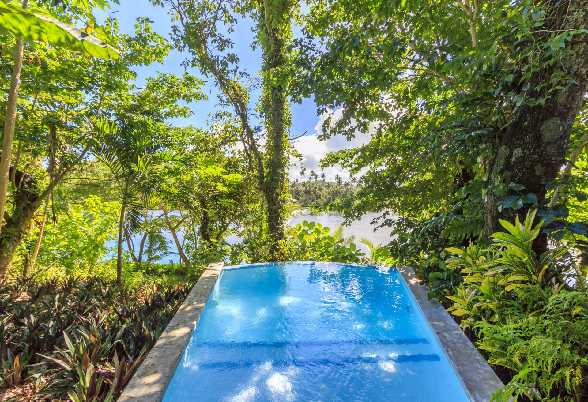 Private villa plunge pool surrounded by tropical foliage