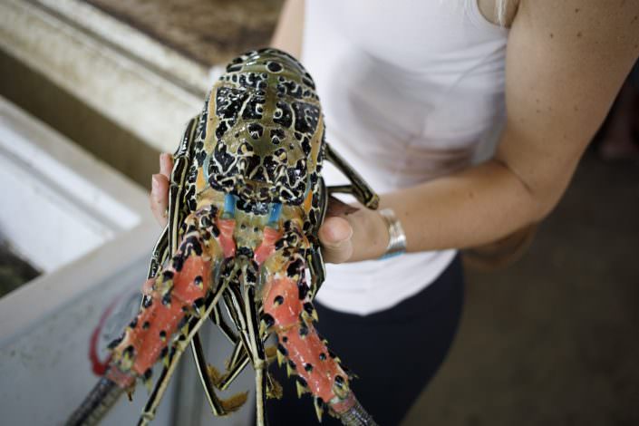 woman holding lobster