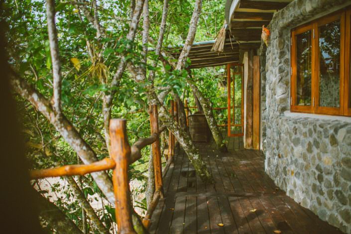 deck of tropical rainforest villa accommodation