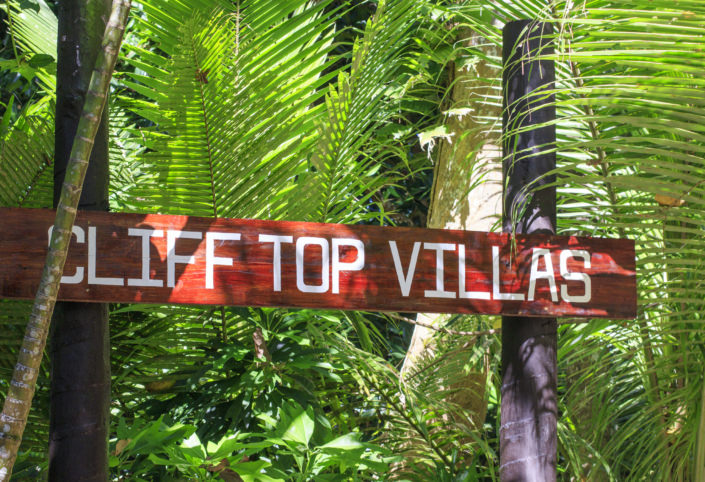 rustic timber signage surrounded by palm fronds