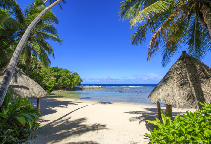 white sandy beach with palm trees and thatched beach huts