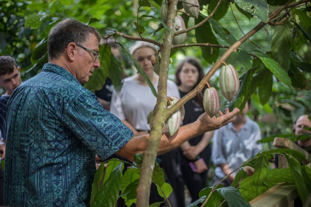 fijian eco tourism bean to bar cocoa farm tour