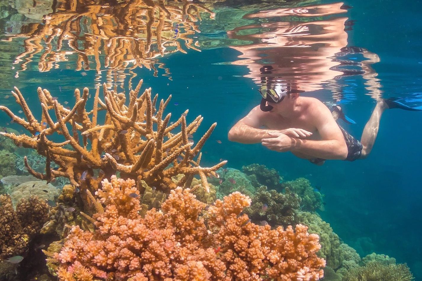 Man snorkelling on tropical reef