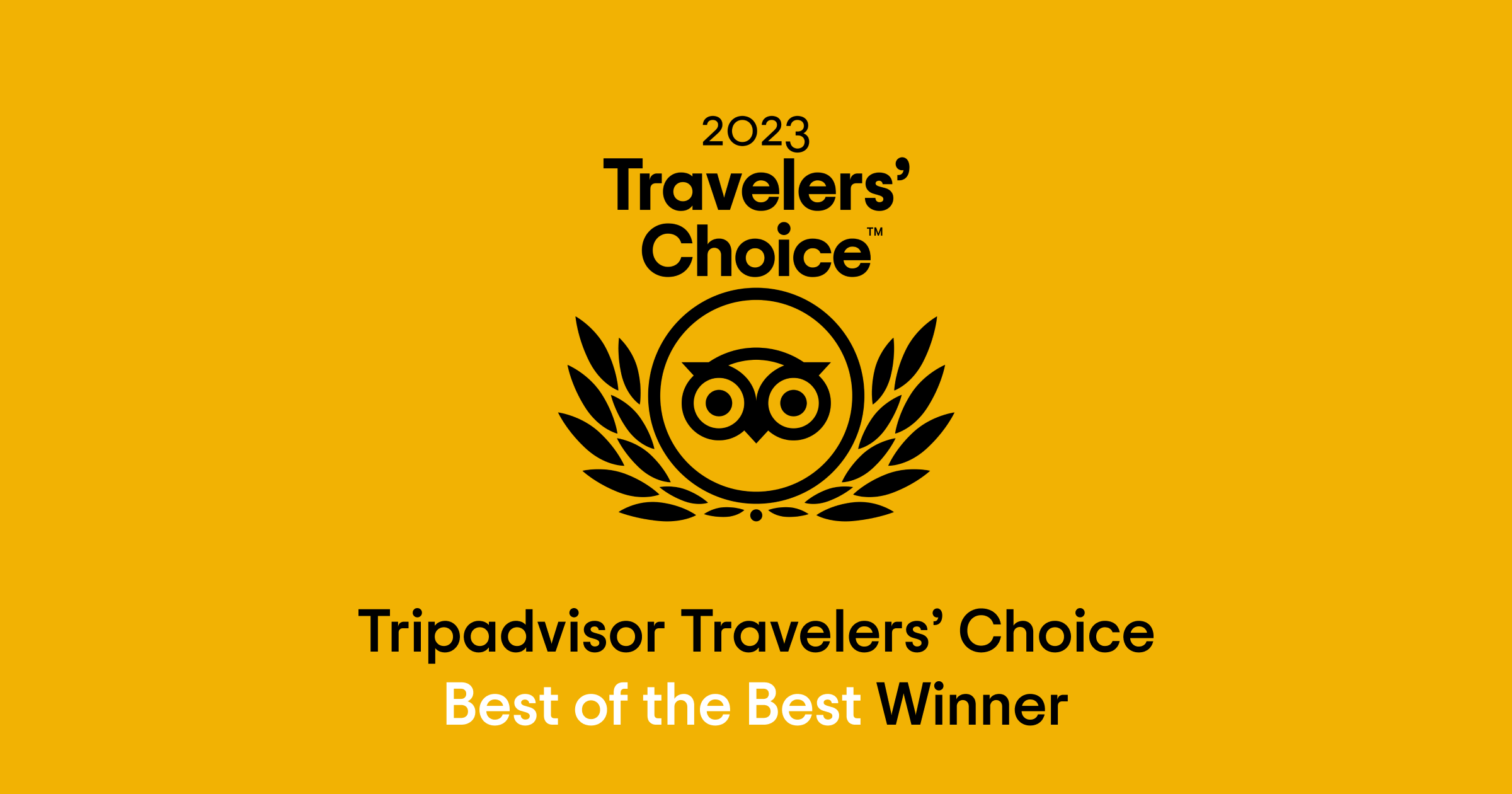 celebrating-excellence-savasi-wins-tripadvisor-s-best-of-the-best